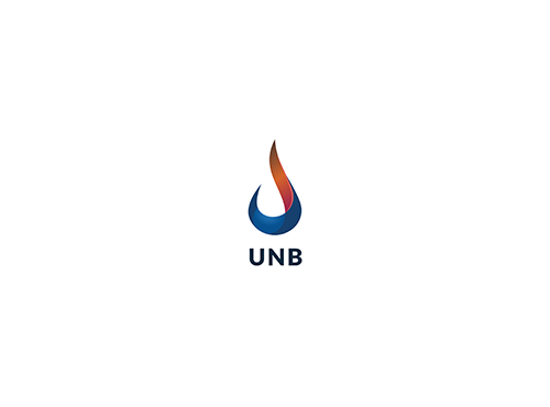 UKRNAFTOBURINNYA (UNB)