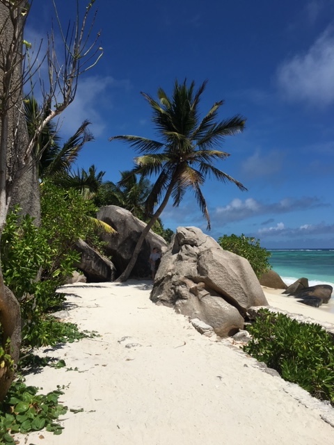 white sand beach on island